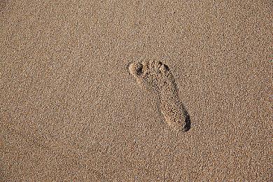 《末日地带2》Steam抢先体验 末世生存建造